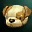 Accessory jindo cap i00 0