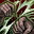 Skill1344 0