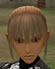 Hairstyles, Human Female Fighter, Style F
