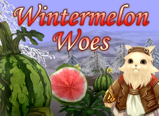 Wintermelon banner