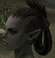 Hairstyles, Orc Female Fighter, Style B