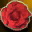 Br rosalia rose red i00 0