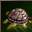 Enchant skill add slow