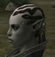 Hairstyles, Orc Female Mystic, Style D