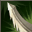 Enchant skill add critical