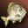 Etc fish seawater i01 0
