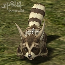 Енот