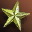 Etc deco star i00 0