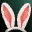 Accessory rabbit ear i00 0