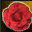 Rose Red